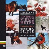 Vintriga virrigheter