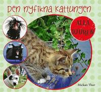 e-Bok Den nyfikna kattungen