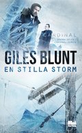 En stilla storm