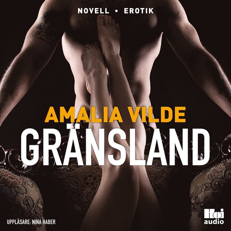 Amalia Vilde - Gränsland, Ljudbok