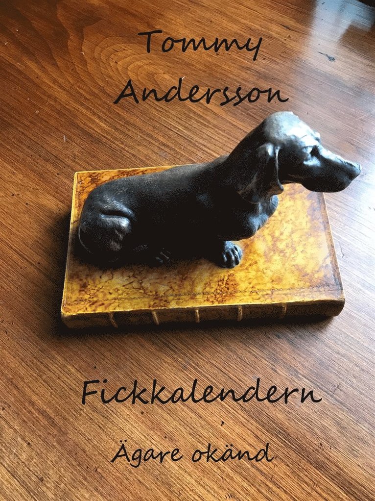 Tommy Andersson - Fickkalendern: Ägare okänd, E-bok