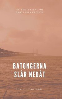 Batongerna slr nedt: En berttelse om brottsbekmpning