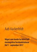 N�got som kunde ha blivit helt meningsl�sa facebookstatusar: Del 1, september 2017