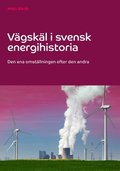 Vägskäl i svensk energihistoria : den ena omställningen efter den andra