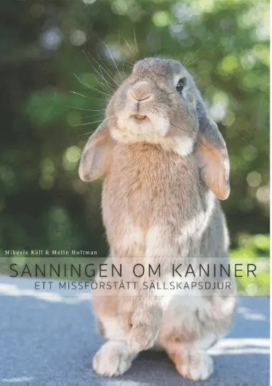 Sanningen om kaniner : ett missförstått sällskapsdjur