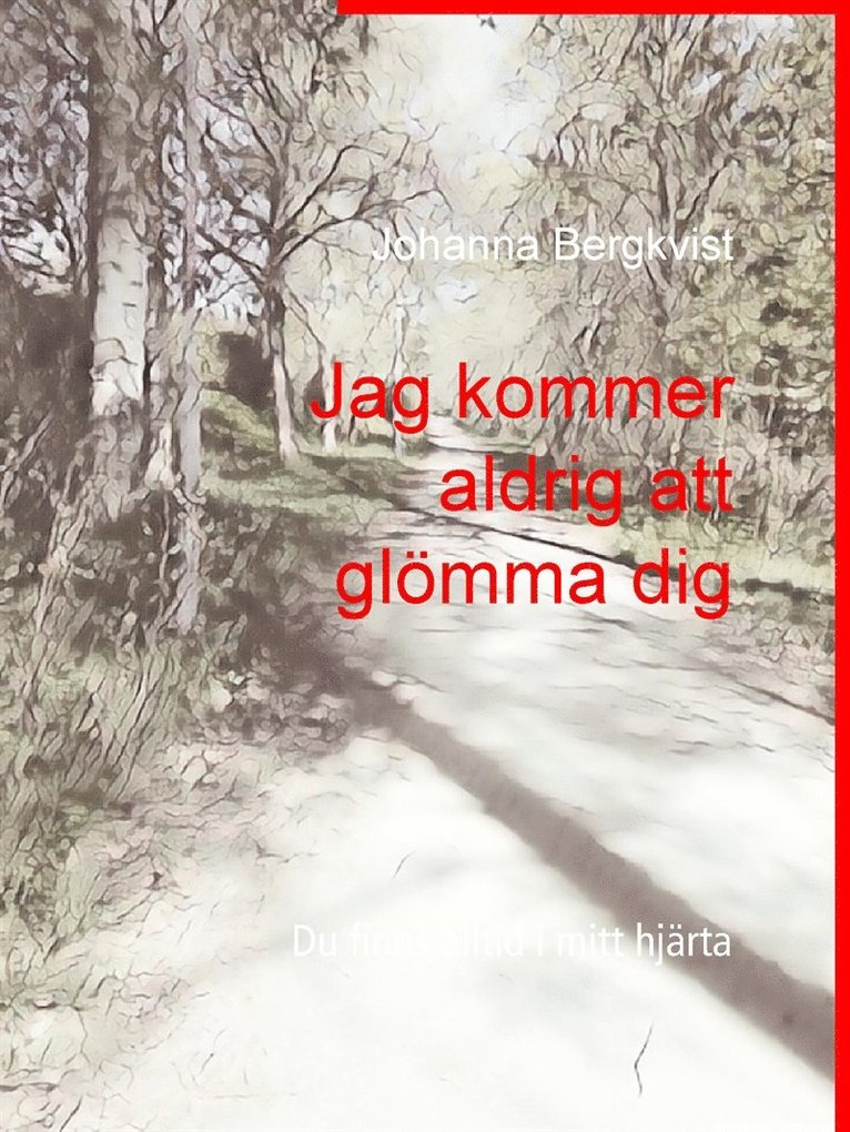 Johanna Bergkvist - Jag kommer aldrig att glömma dig: Du finns alltid i mitt hjärta, E-bok