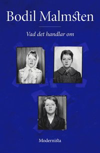 e-Bok Vad det handlar om <br />                        E bok