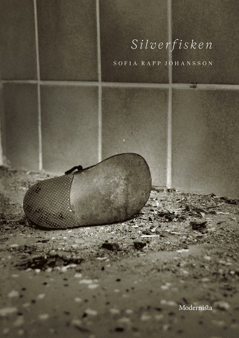 Sofia Rapp Johansson - Silverfisken, E-bok