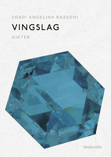 Shadi Angelina Bazeghi - Vingslag, Häftad