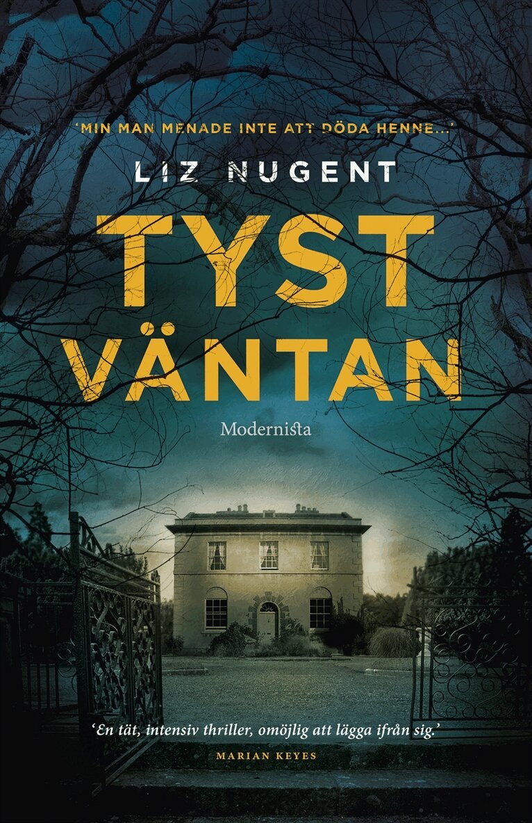 Liz Nugent - Tyst väntan, E-bok