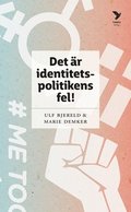 Det r identitetspolitikens fel!