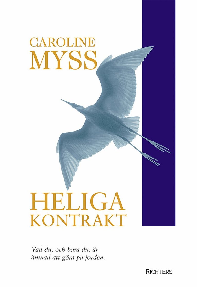 Caroline Myss - Heliga kontrakt : väck din gudomliga potential, Inbunden