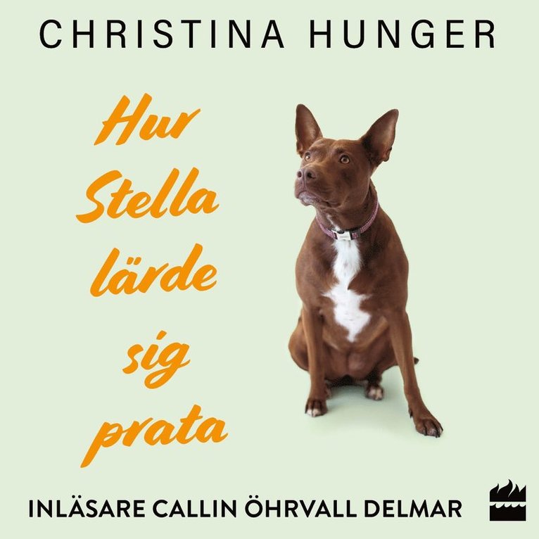 Christina Hunger - Hur Stella lärde sig prata, Ljudbok