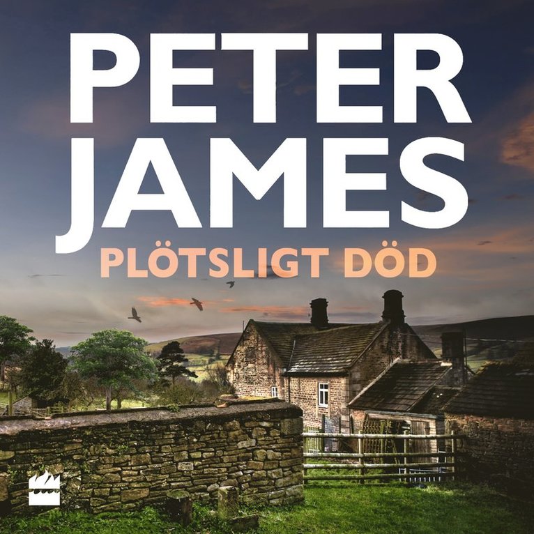 Peter James - Plötsligt död, Ljudbok
