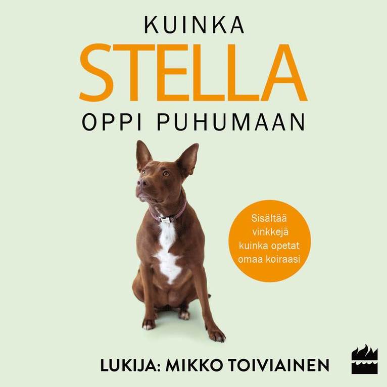 Christina Hunger - Kuinka Stella oppi puhumaan, Ljudbok