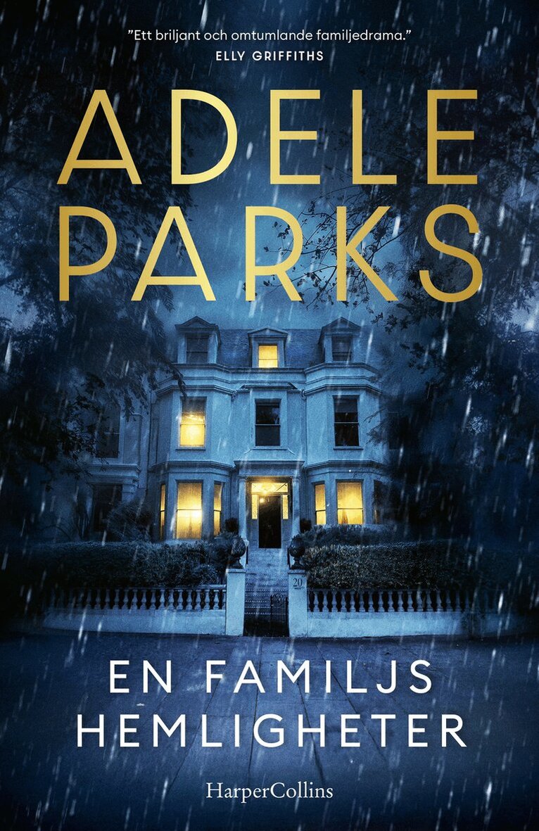 Adele Parks - En familjs hemligheter, E-bok