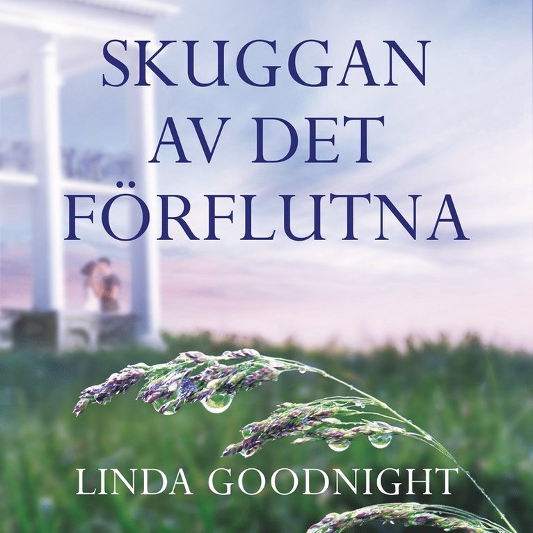 Linda Goodnight - Skuggan av det förflutna, Ljudbok