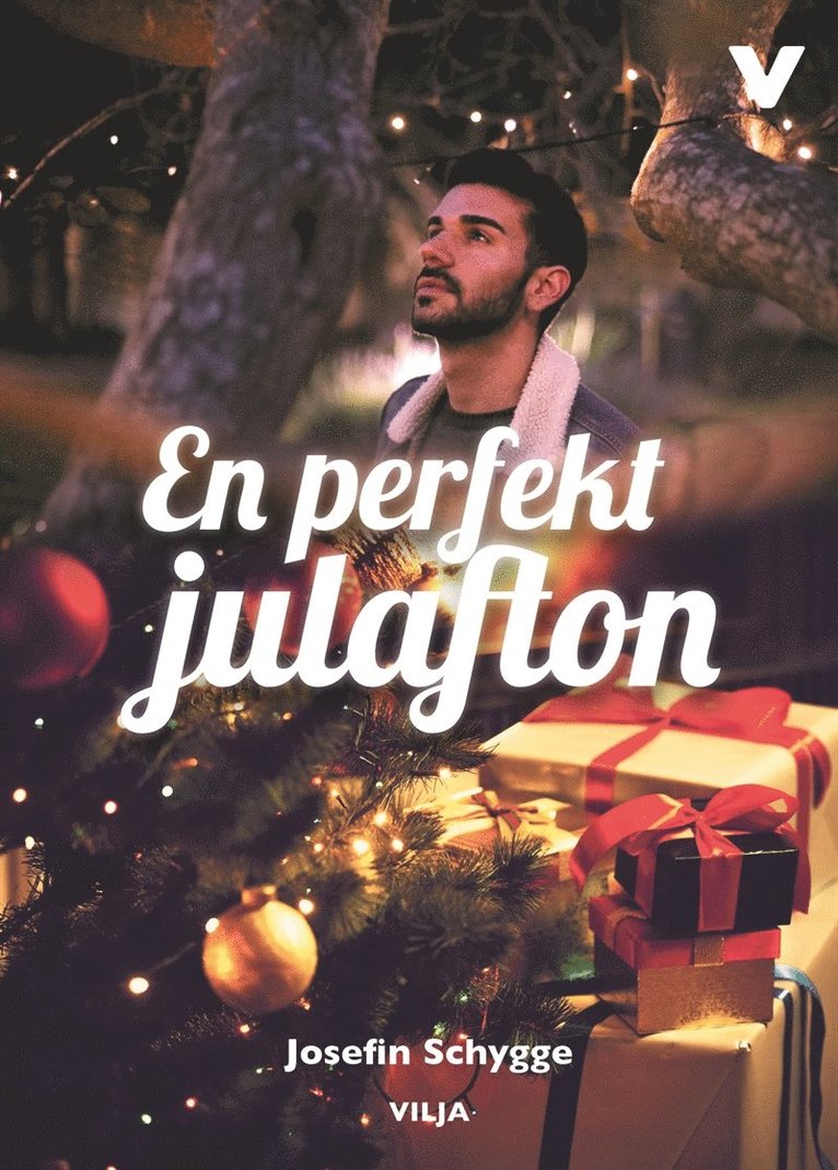 Josefine Schygge - En perfekt julafton, Ljudbok