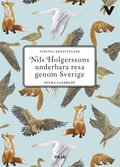 Nils Holgerssons underbara resa (lättläst)