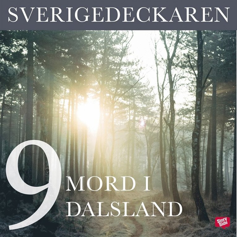 Stig O. Blomberg - Mord i Dalsland, Ljudbok