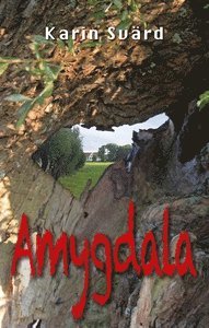 Karin Svärd - Amygdala, E-bok