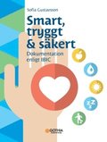 Smart, tryggt & skert : Dokumentation enligt IBIC