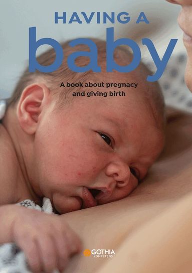 Hanne Fjellvang, Linn Richter - Having a baby : a book about pregnancy and giving birth, Häftad