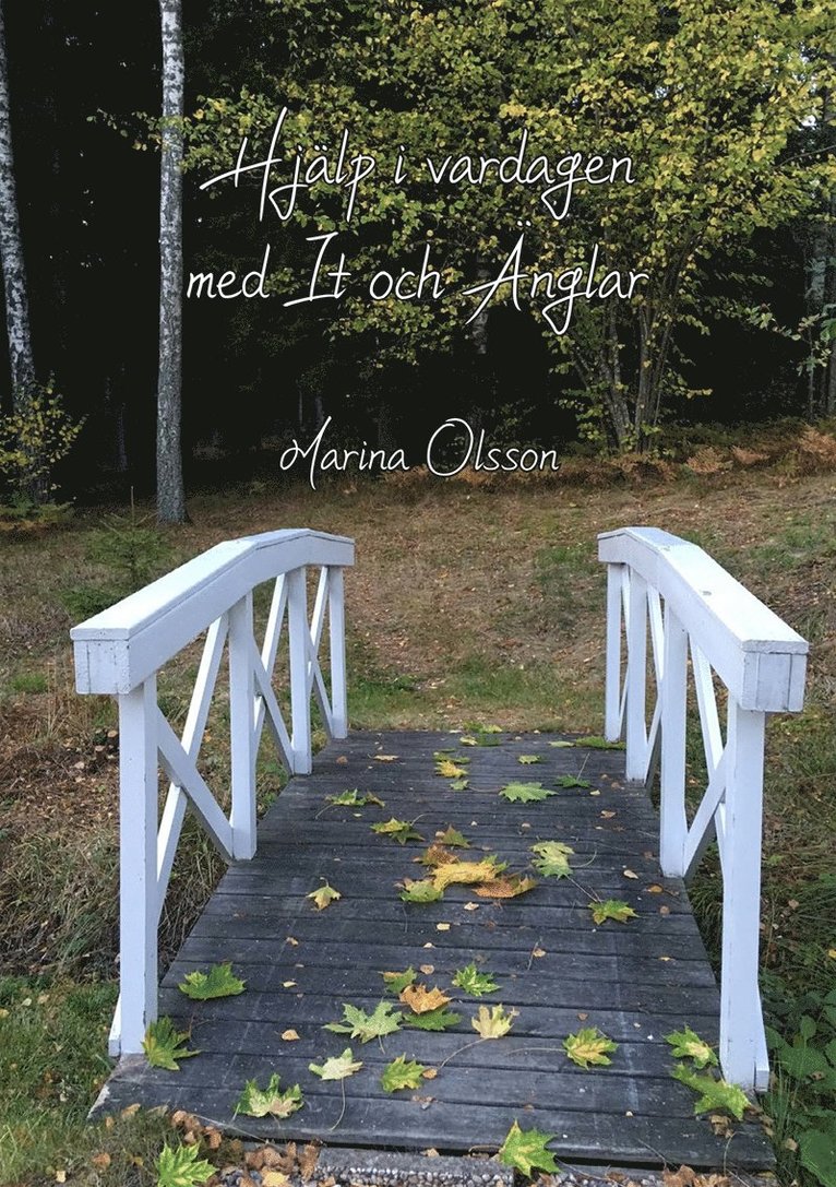 Marina Olsson - IT och änglar, E-bok