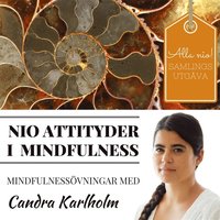 e-Bok SAMLINGSUTGÅVA Nio attityder i mindfulness av Candra Karlholm <br />                        Ljudbok