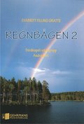 Regnbgen 2