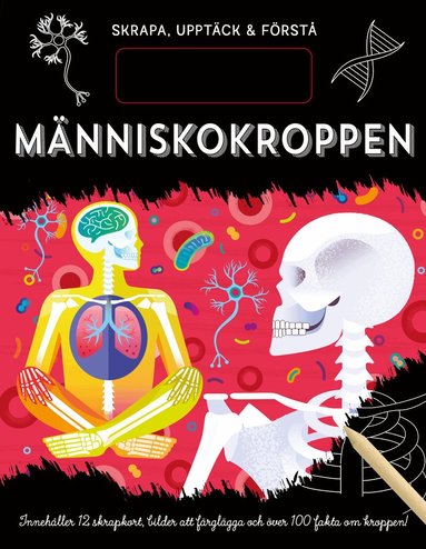 Skrapa, upptäck & förstå. Människokroppen, Kartonnage