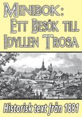 Minibok: Ett besk i idylliska Trosa r 1881 ? terutgivning av historisk text