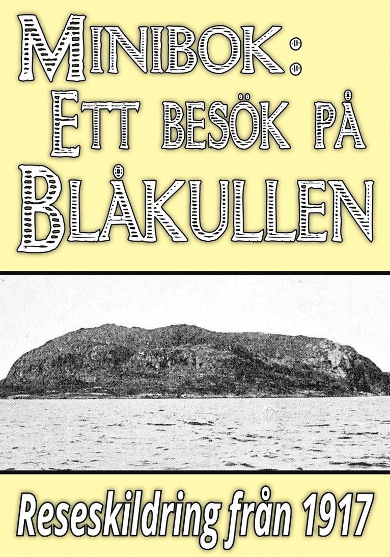 Sölve Berger, Mikael Jägerbrand - Minibok: Skildring av Blåkullen år 1917, E-bok