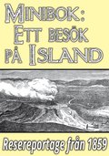 Minibok: Ett besk p Island r 1858