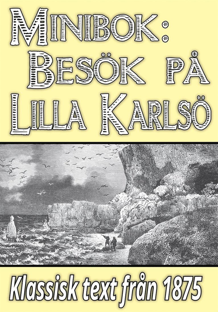 Carl Johan Bergman, Mikael Jägerbrand - Minibok: Ett besök på Lilla Karlsö år 1875, E-bok