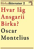 Hvar låg Ansgarii Birka? Birkalitteratur nr 2. Återutgivning av text från 1872