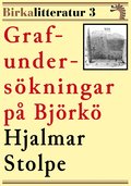 Grafundersökningar på Björkö. Birkalitteratur nr 3. Återutgivning av text från 1876
