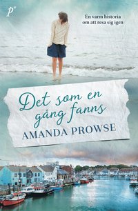 e-Bok Det som en gång fanns