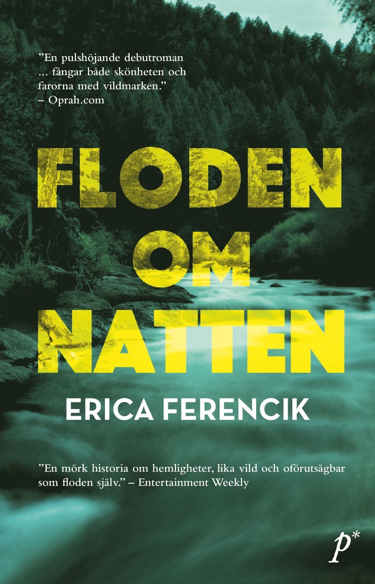 Erica Ferencik - Floden om natten, Inbunden