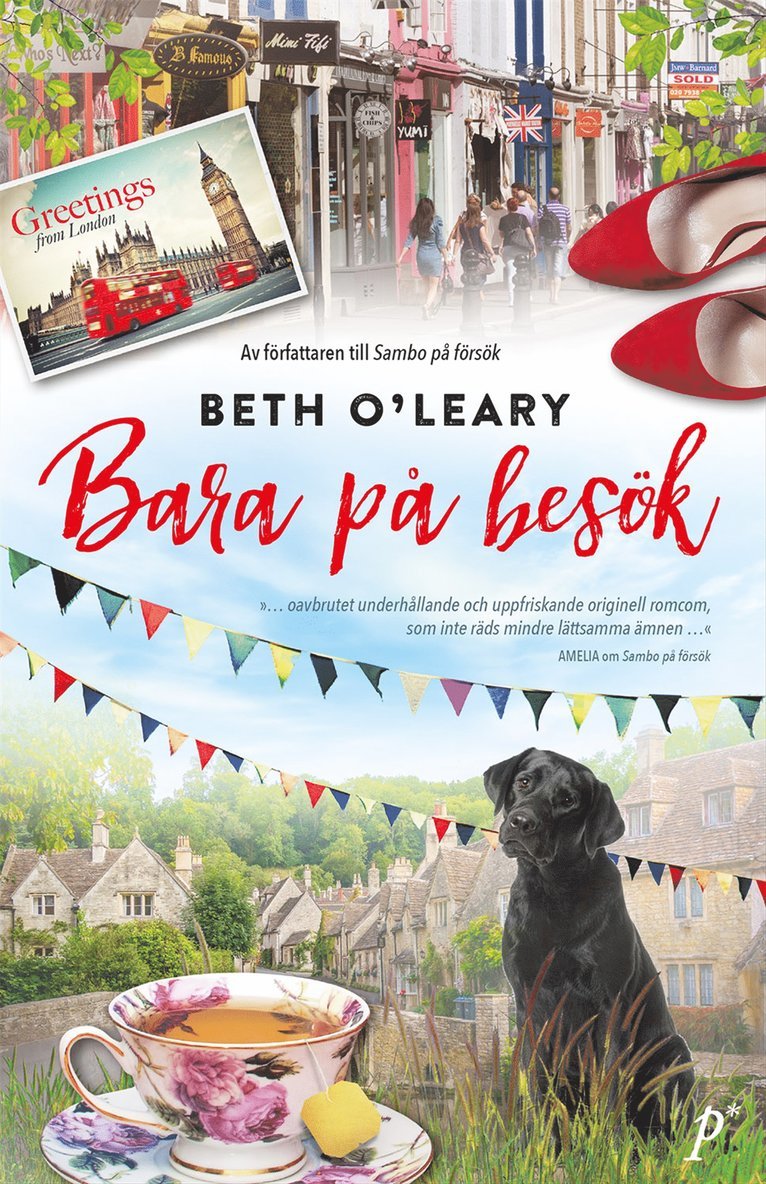 Beth O'Leary - Bara på besök, E-bok