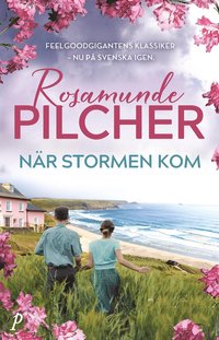 När stormen kom