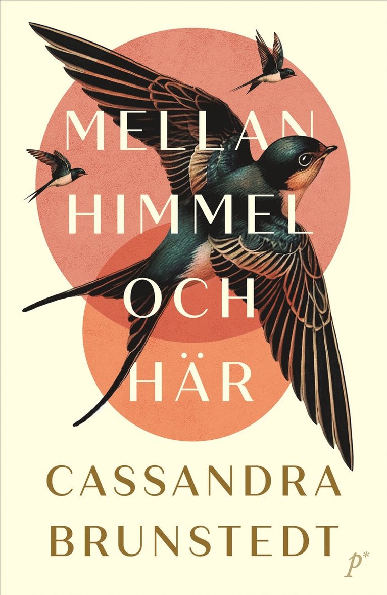 Cassandra Brunstedt - Mellan himmel och här, E-bok