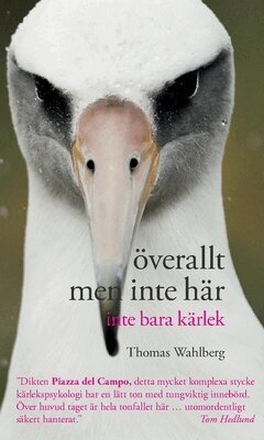 Thomas Wahlberg - Överallt men inte här : inte bara kärlek, Inbunden