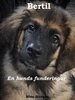 Nina Hansen - Bertil - en hunds funderingar, E-bok
