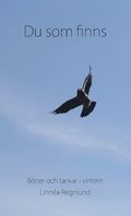 Du som finns : bner och tankar i vintern
