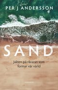 Sand : jakten på råvaran som formar vår värld