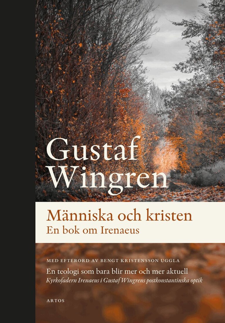 Wingren Gustaf - Människa och kristen : en bok om Irenaeus, Häftad