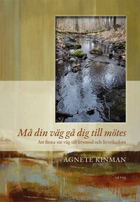 M� din v�g g� dig till m�tes : att finna sin v�g till livsmod och livsrikedom