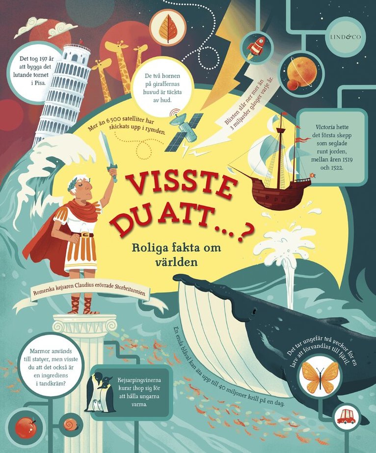 James Maclaine - Visste du att ...? : roliga fakta om världen, Inbunden