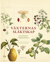 Vxternas slktskap : genealogi fr trdgrdslskare